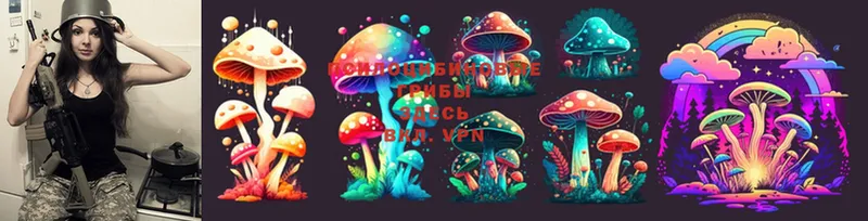 Галлюциногенные грибы Psilocybe  MEGA ССЫЛКА  нарко площадка состав  Тольятти 